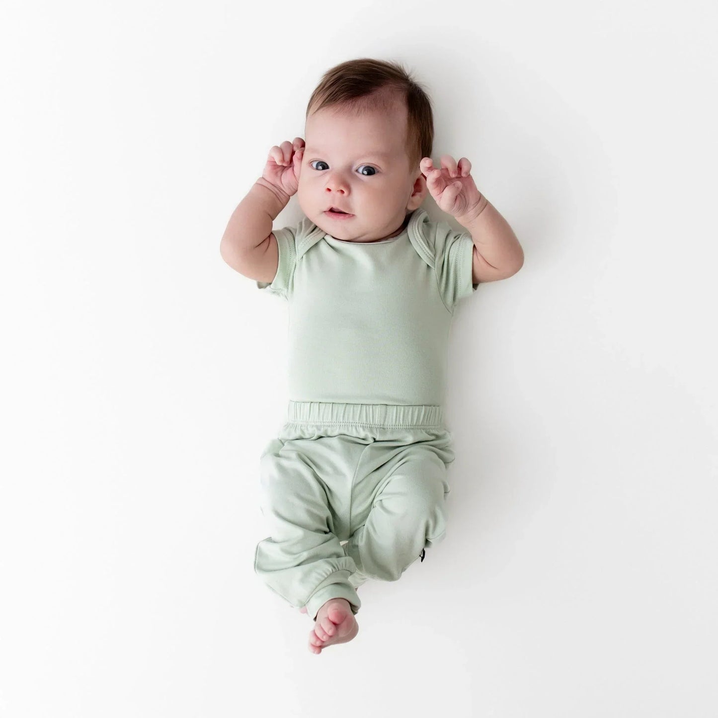 Pant in Basil