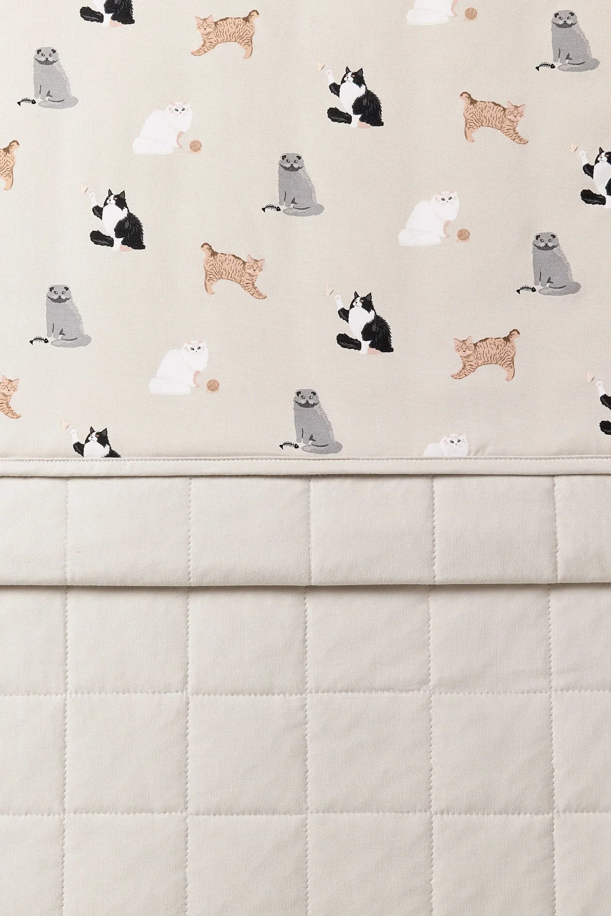 Toddler Blanket in Fluffy Cat 1.0