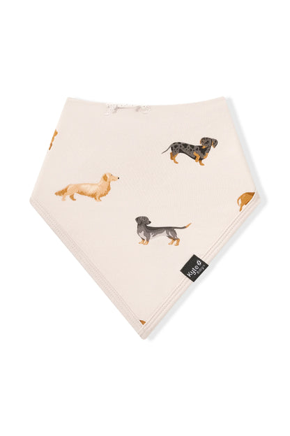Bib in Dachshund