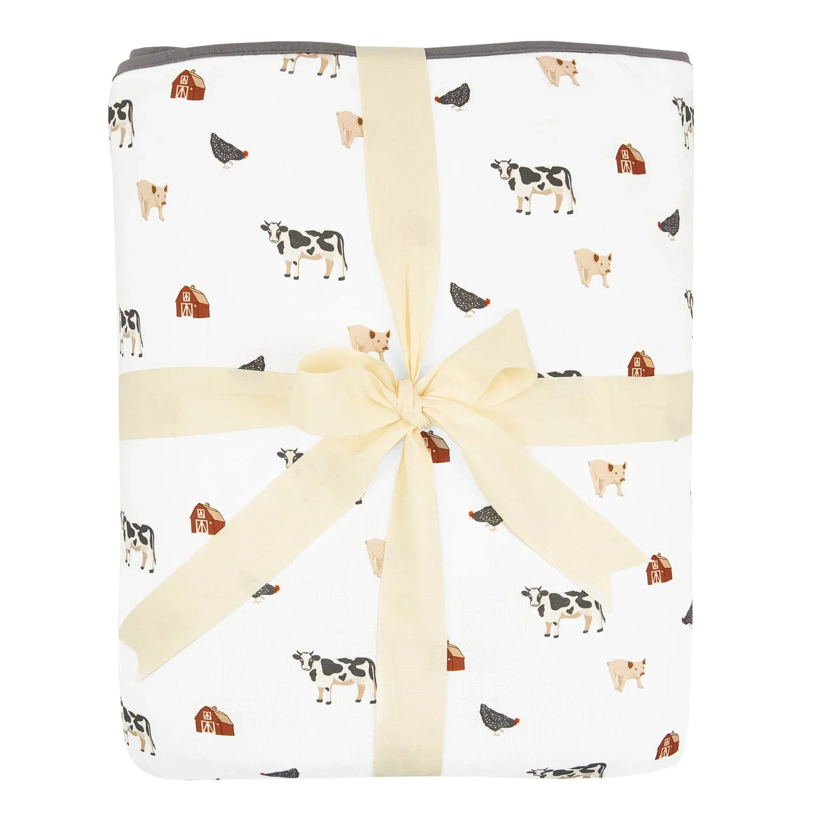 Youth Blanket in Farm 2.5
