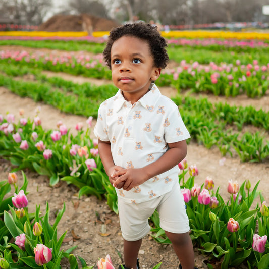 Toddler Short Sleeve Polo in Teddy Bear