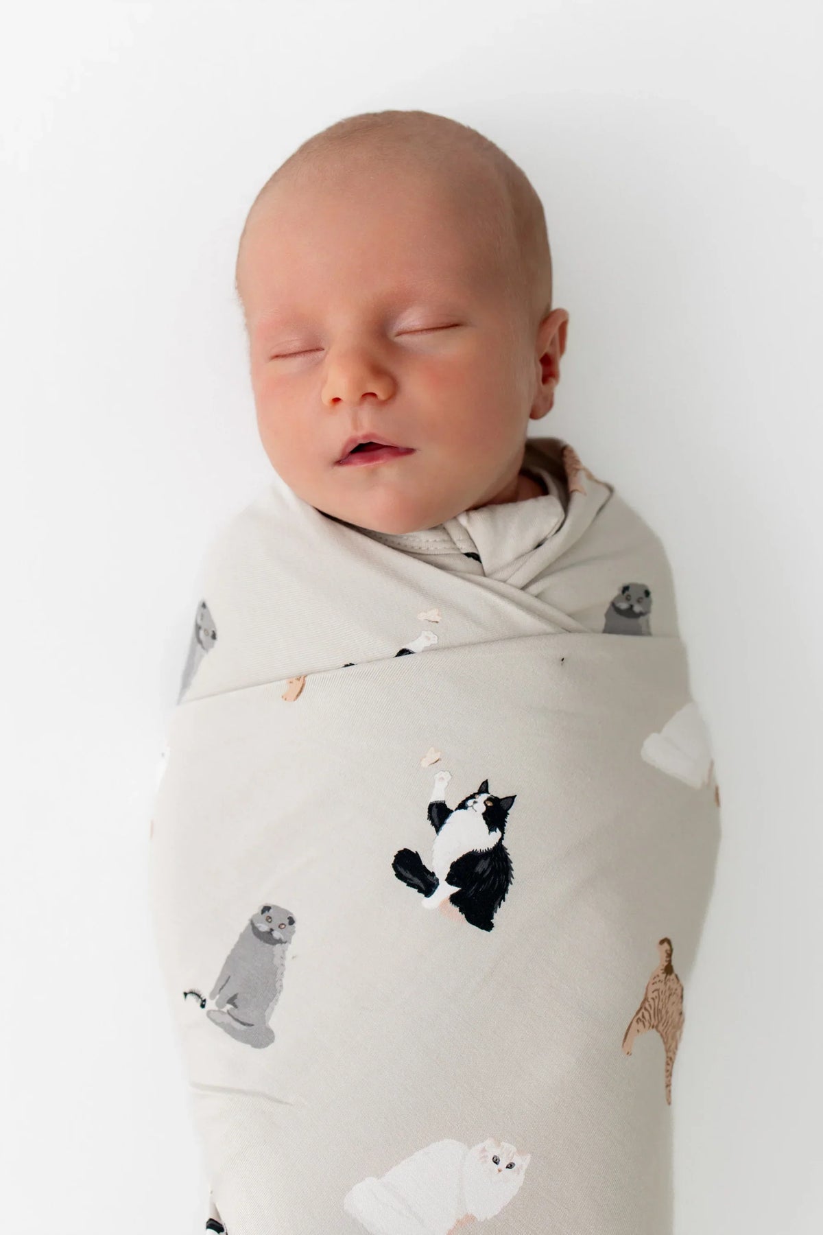Swaddle Blanket in Fluffy Cat