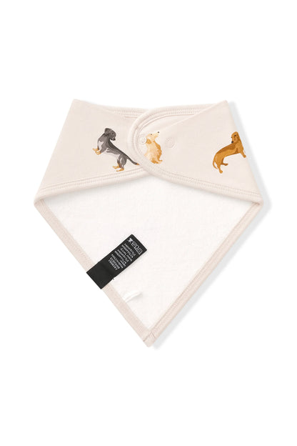 Bib in Dachshund