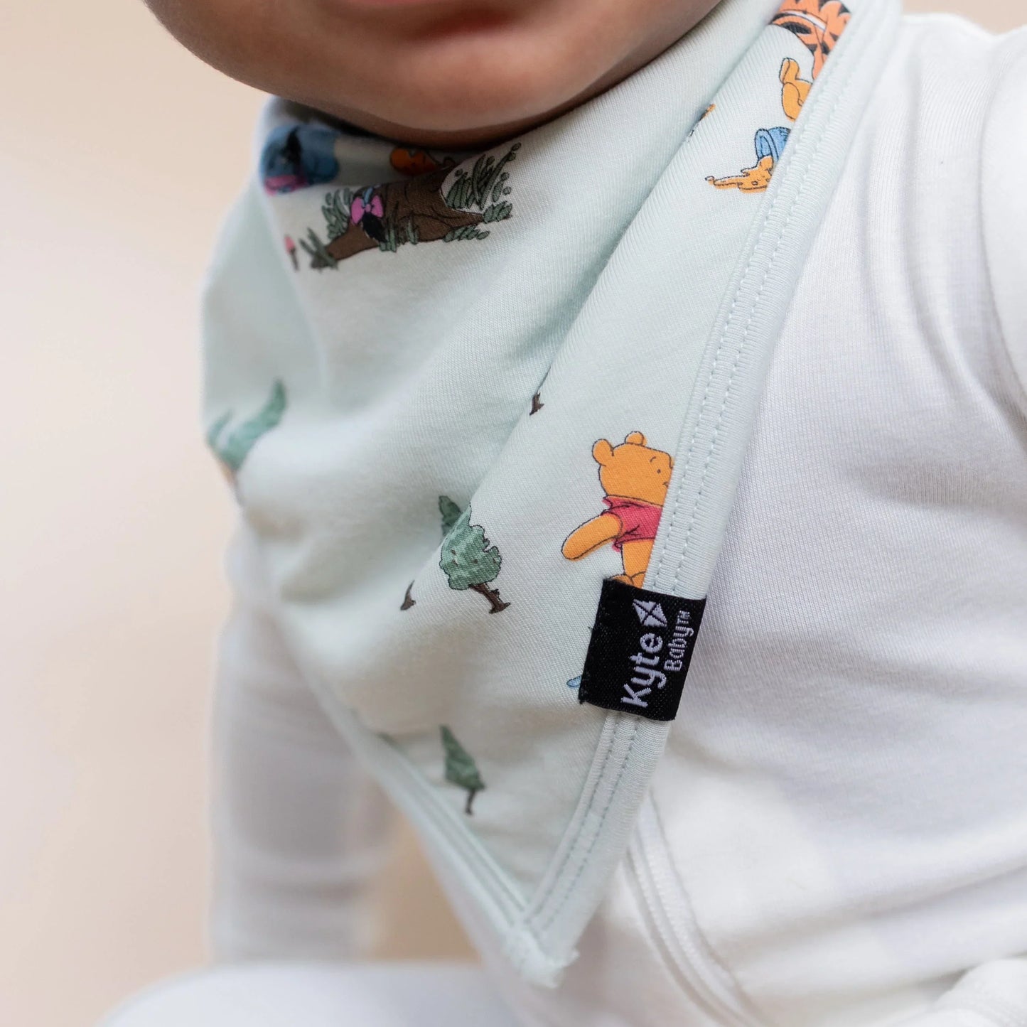 Bib in Winnie the Pooh Hundred Acre Wood