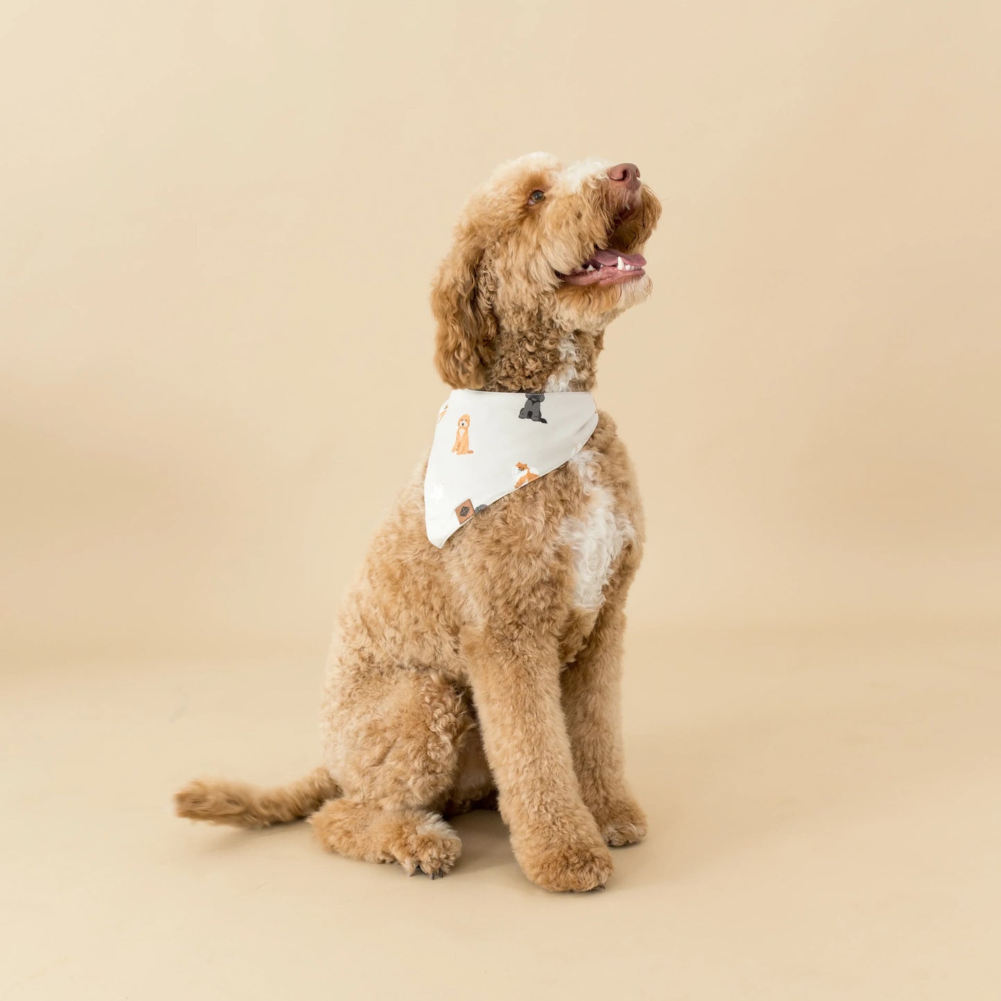Dog Bandana in Fluffy Dog