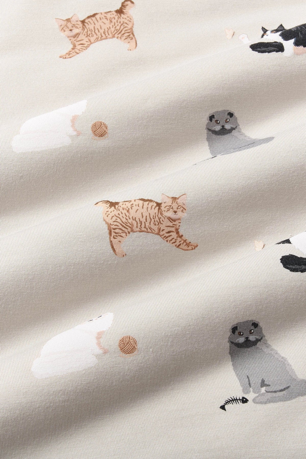 Swaddle Blanket in Fluffy Cat