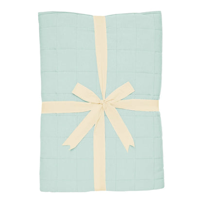 Youth Blanket in Sage 2.5