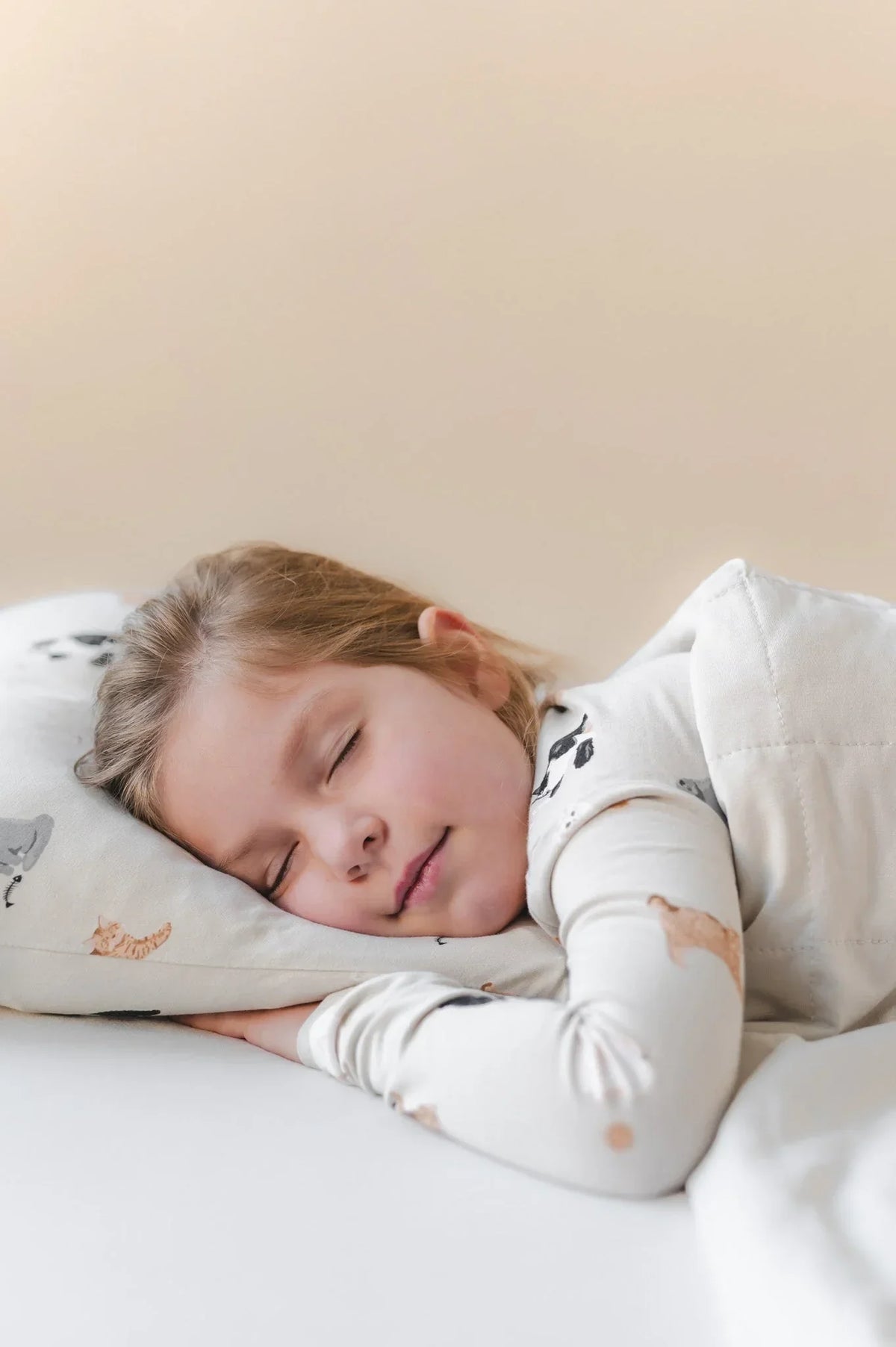 Toddler Pillowcase in Fluffy Cat