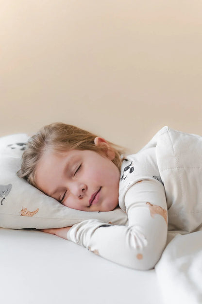 Toddler Pillowcase in Fluffy Cat