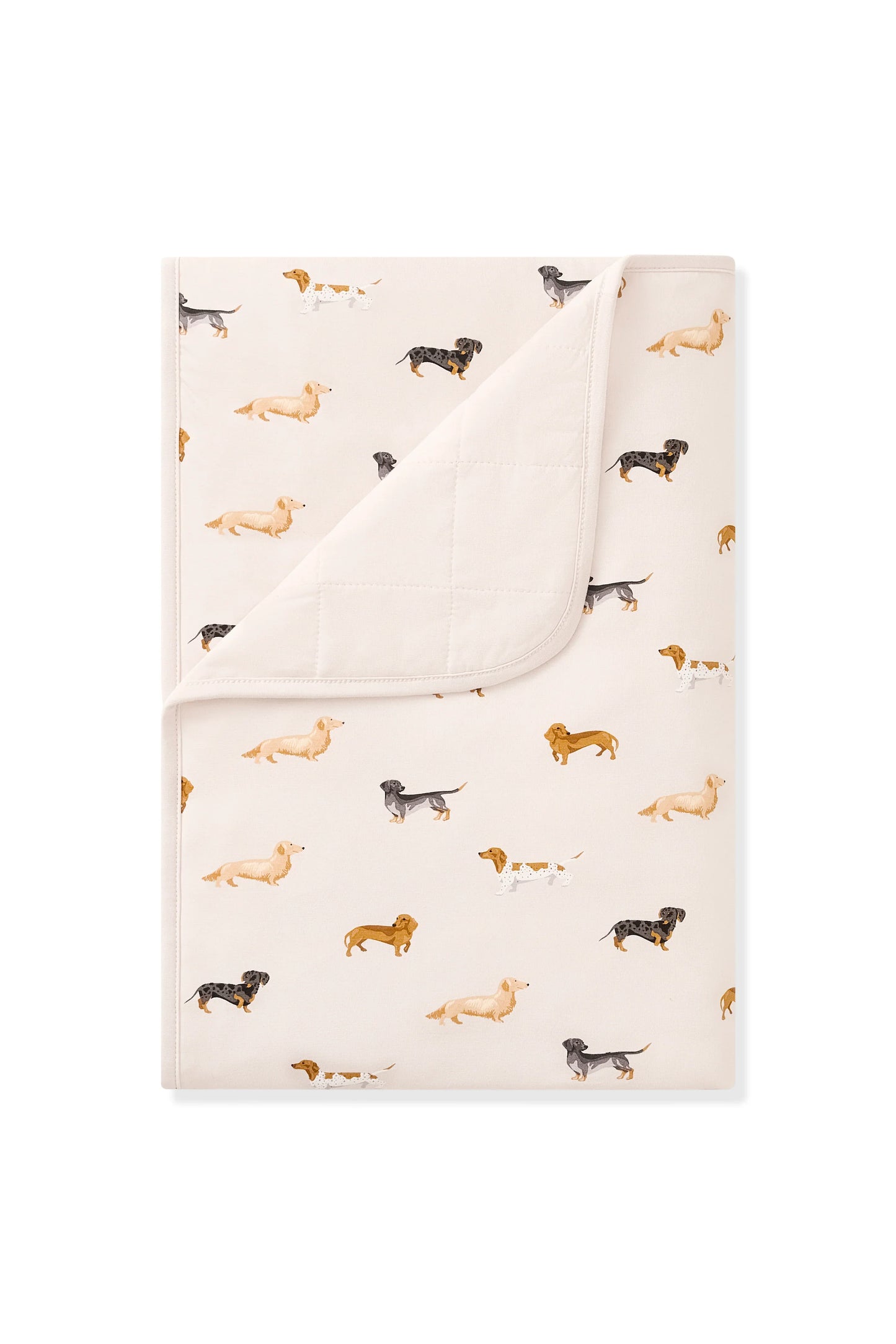 Toddler Blanket in Dachshund 1.0