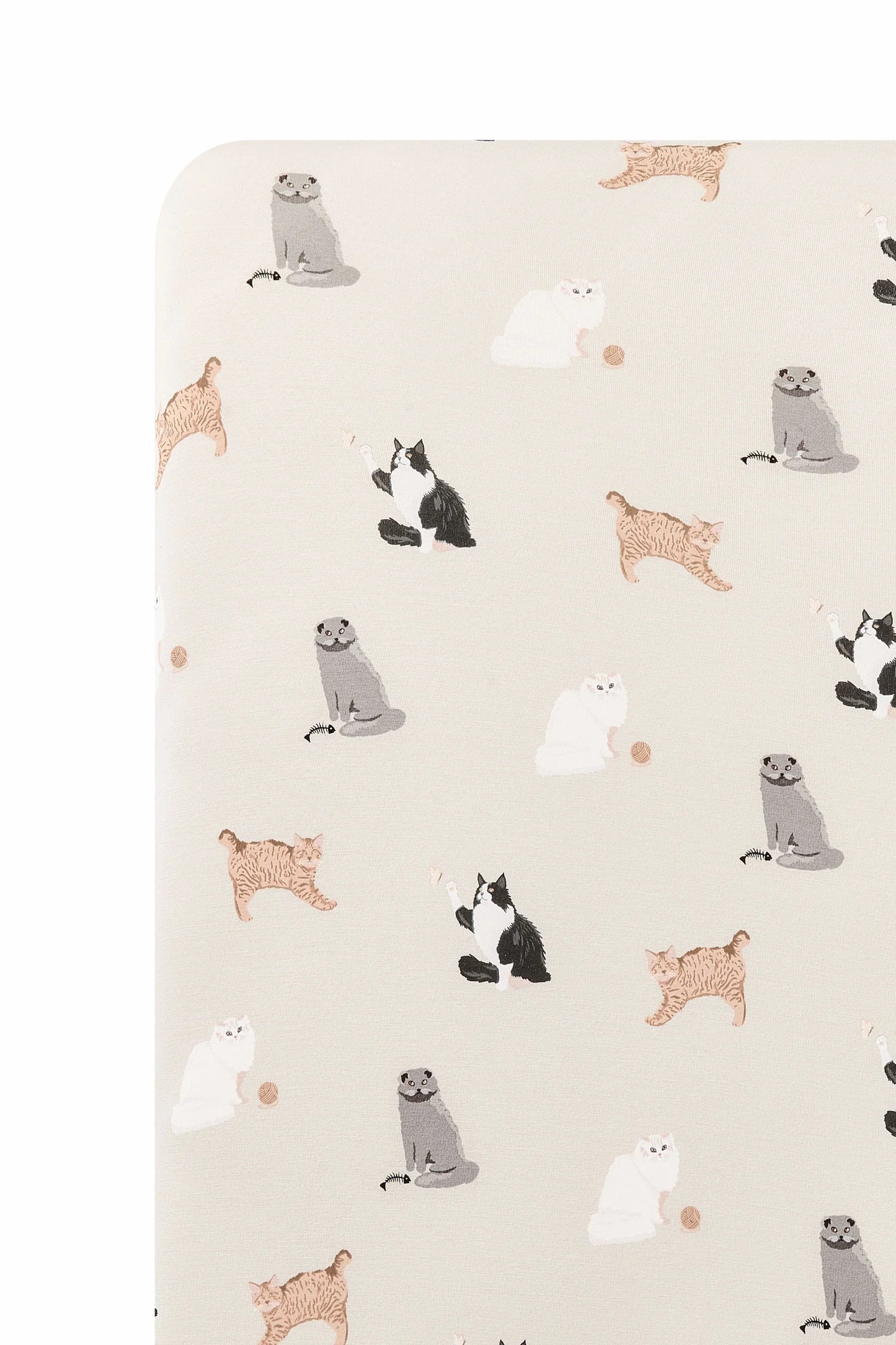 Twin Sheet in Fluffy Cat