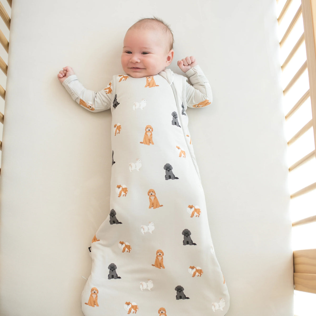 Sleep Bag in Fluffy Dog 1.0