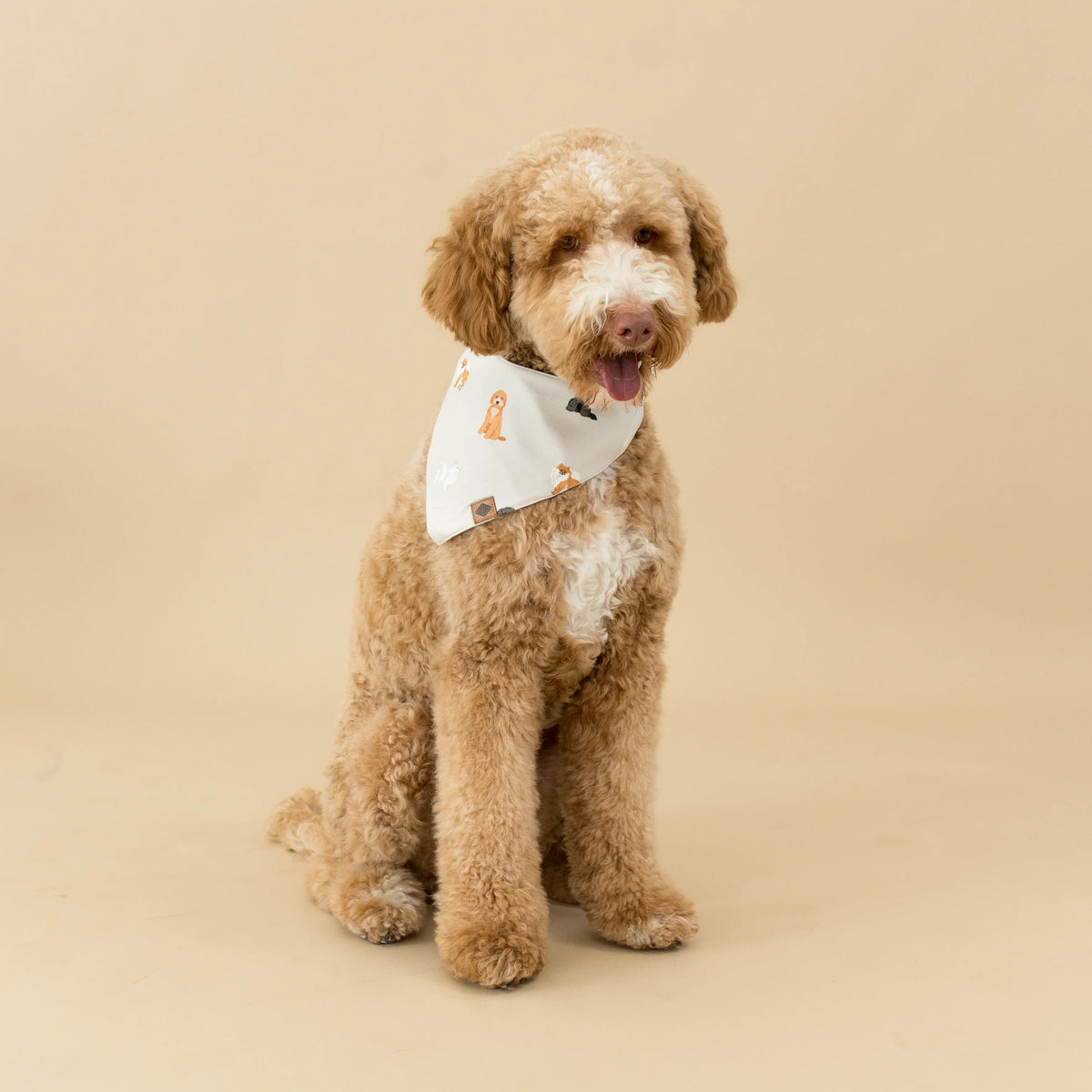 Dog Bandana in Fluffy Dog