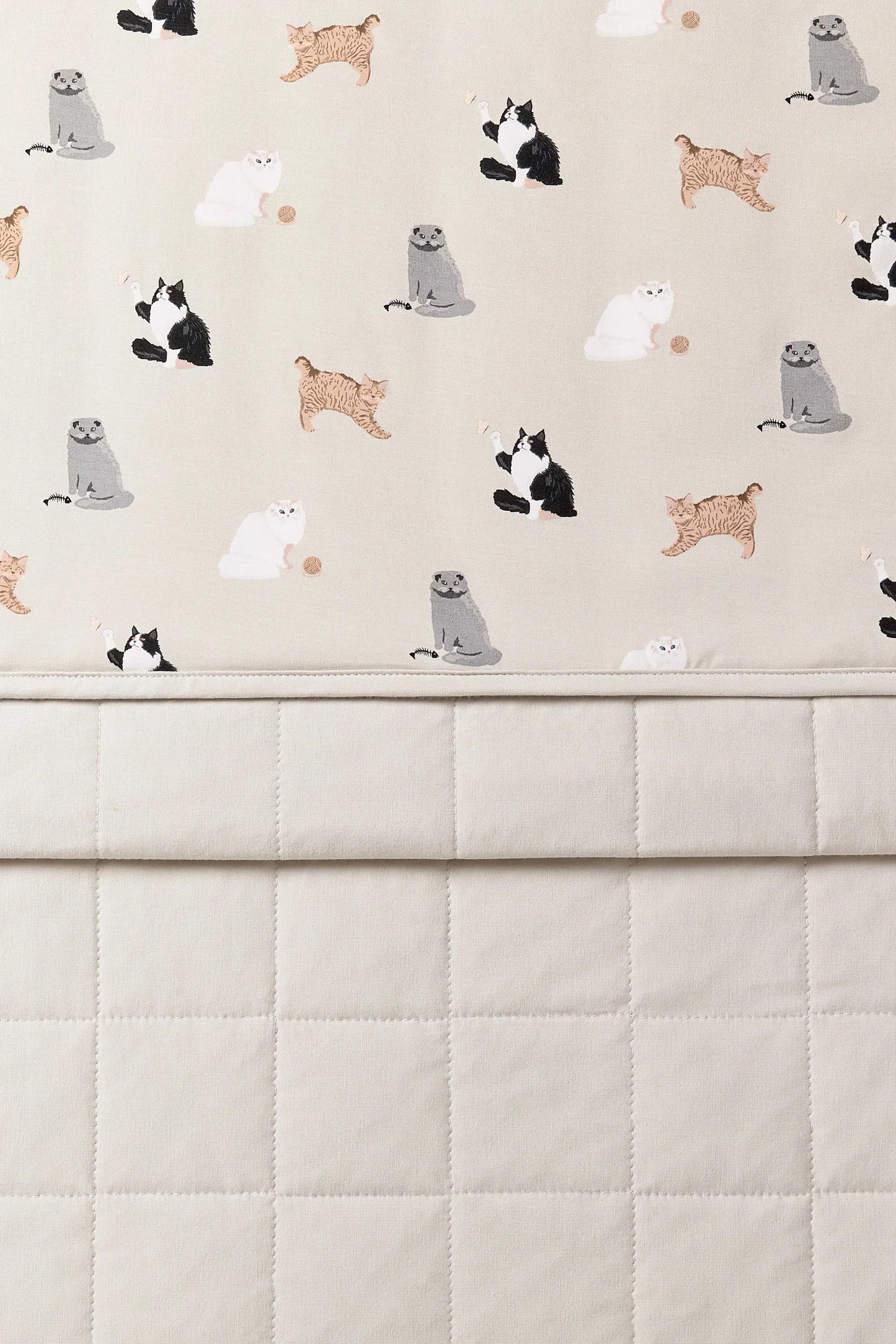 Toddler Blanket in Fluffy Cat 1.0