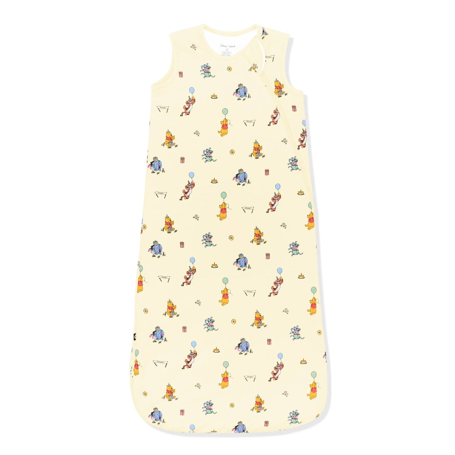 Sleep Bag in Winnie the Pooh Celebration 1.0