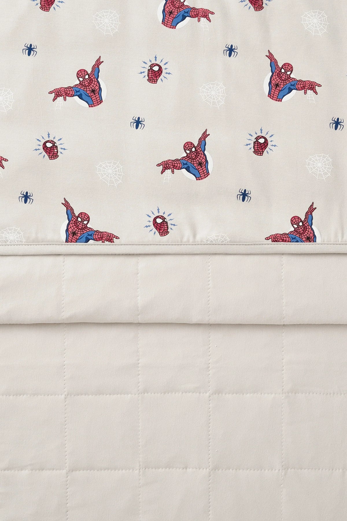 Baby Blanket in Spider-Man 1.0