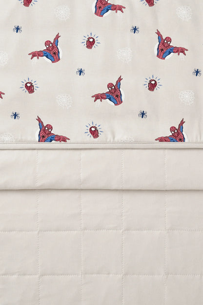 Baby Blanket in Spider-Man 1.0