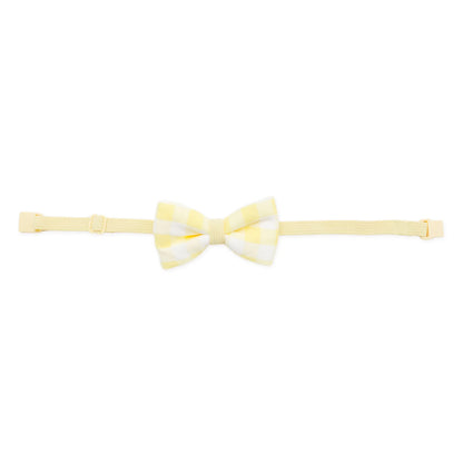 Bow Tie in Gingham Chamomile