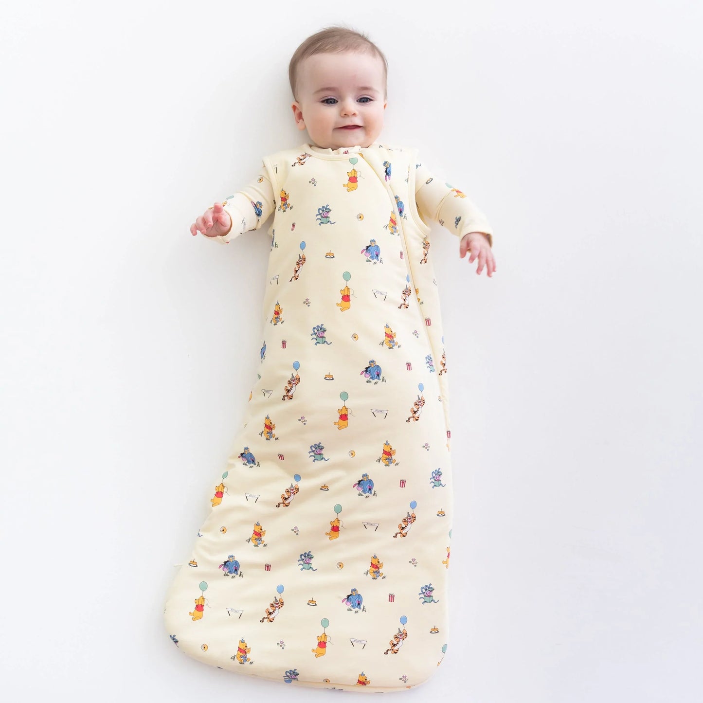 Sleep Bag in Winnie the Pooh Celebration 1.0