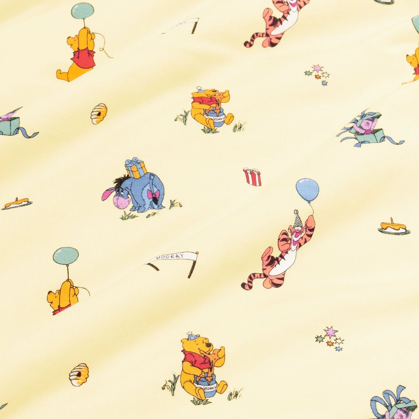 Bib in Winnie the Pooh Celebration