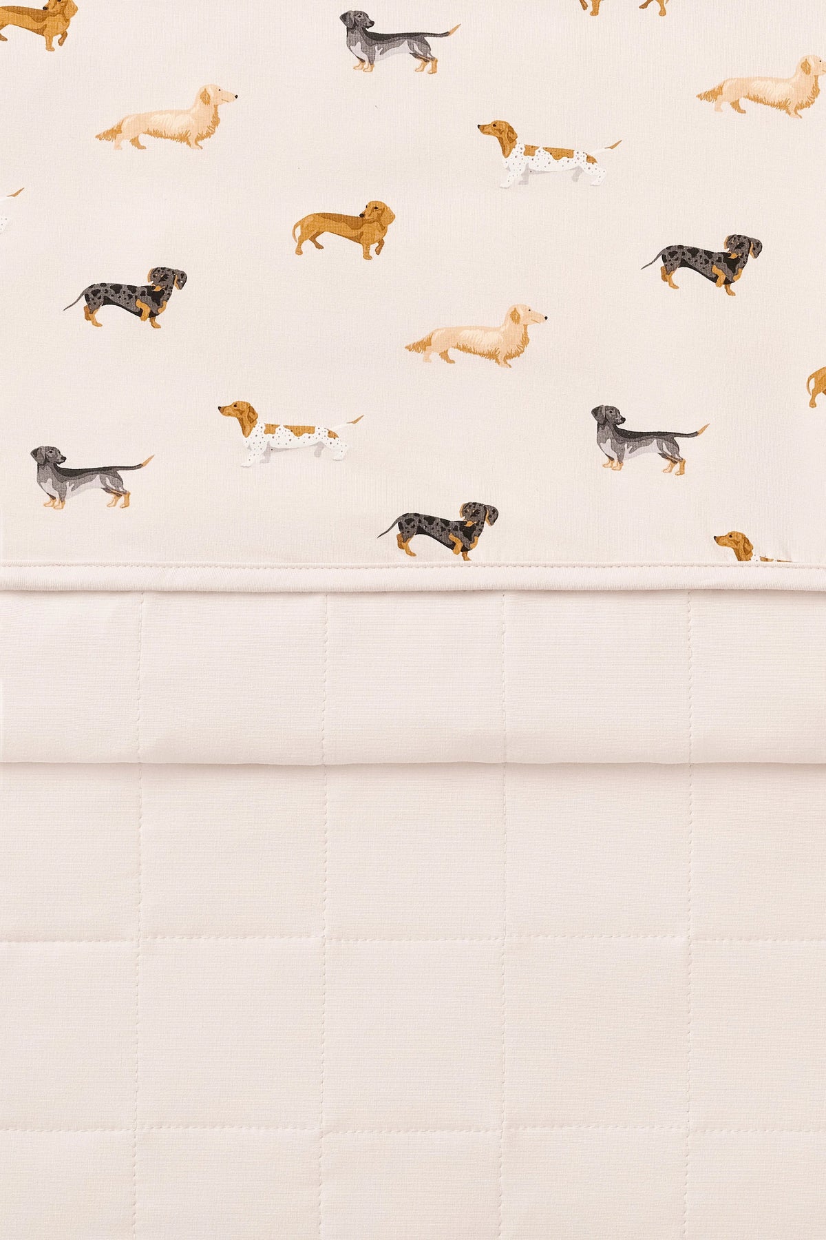 Toddler Blanket in Dachshund 1.0