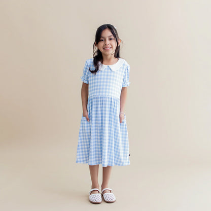 Peter Pan Collar Dress in Gingham Breeze